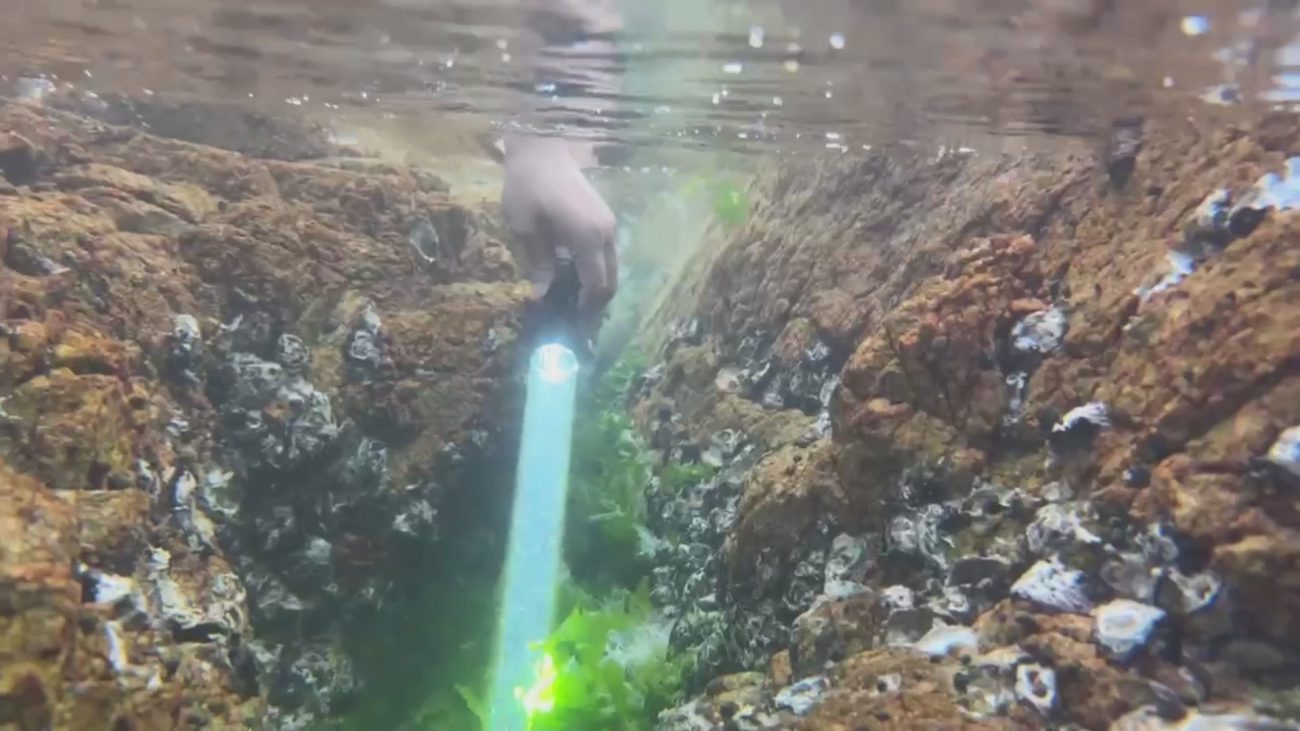 T45R Tactical Hunting Flashlight(GET 20% OFF AND A GIFT WITH YOUR PURCHASE)