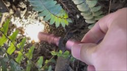 MINIE KEYCHAIN FLASHLIGHT