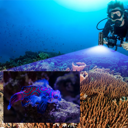 Trustfire DF90 Dive Light - 15000LM Bright Scuba Diving Flashlight, 70M Underwater Torch for Deep Sea Cave Diving and Underwater Photography(GET 20% OFF AND A GIFT WITH YOUR PURCHASE)