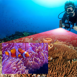 Trustfire DF90 Dive Light - 15000LM Bright Scuba Diving Flashlight, 70M Underwater Torch for Deep Sea Cave Diving and Underwater Photography(GET 20% OFF AND A GIFT WITH YOUR PURCHASE)